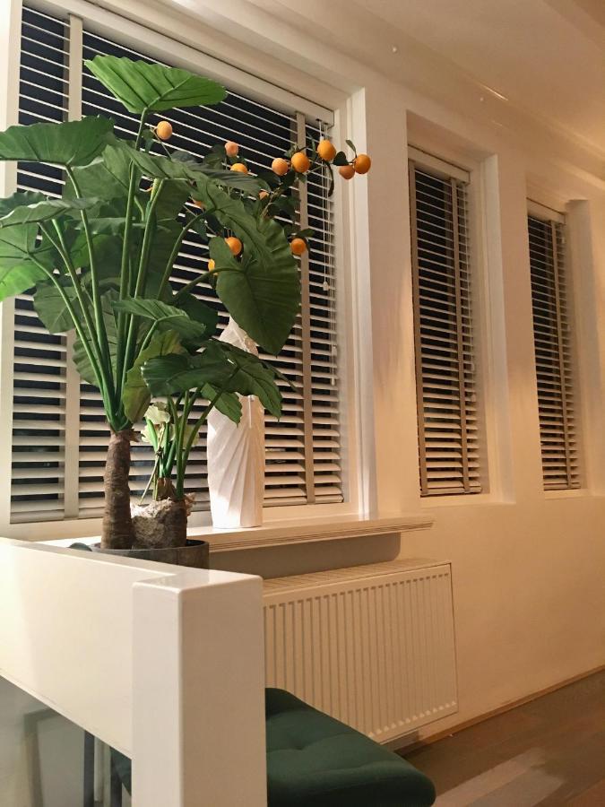 Vakantiehuis De Zeeparel Зандвоорт Екстериор снимка